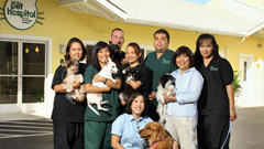 Kakaako Pet Hospital | ALOHA DOG