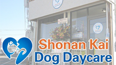 Shonan Kai Dog Daycare | ALOHA DOG