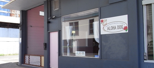 Doggies Daycare, Boarding & Grooming ALOHA DOG