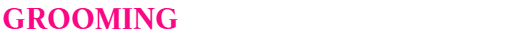 GROOMING -Japanese Style Grooming-