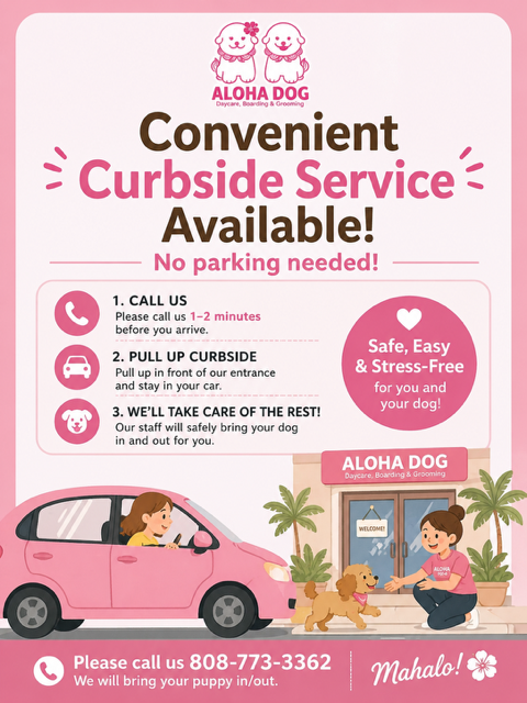 Convenient Curbside Service Available!
